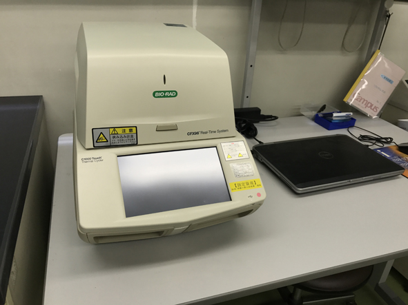 Real-time PCR detection system