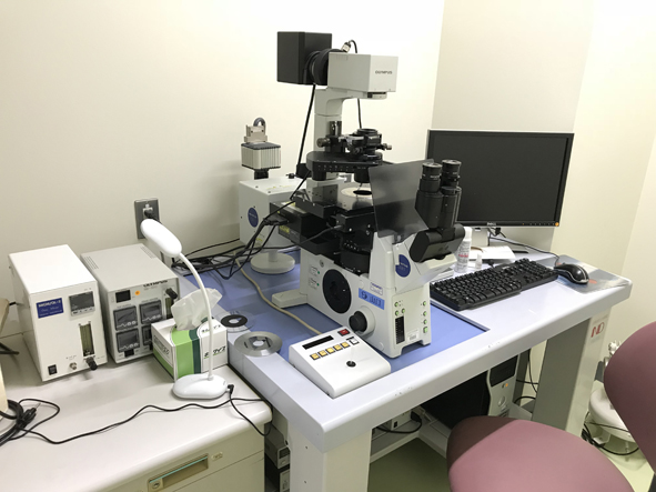 Time-lapse fluorescence microscope system