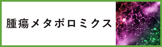 “腫瘍メタボロミクス”